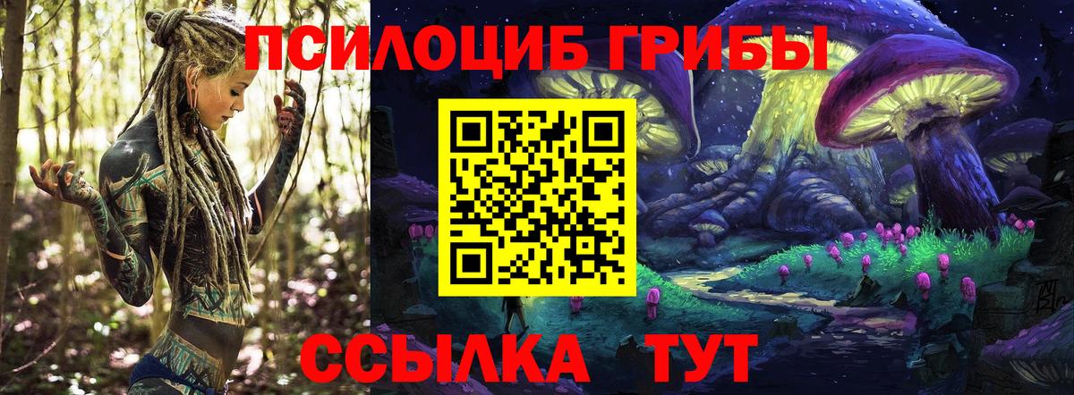 Галлюциногенные грибы Magic Shrooms Осинники