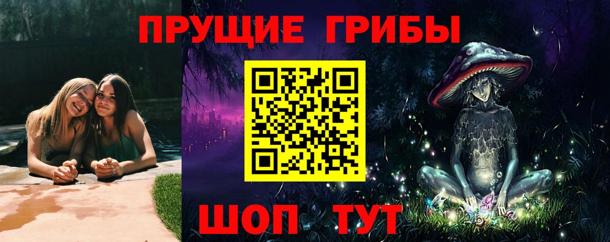 Осинники  Псилоцибиновые грибы мицелий  Вход с VPN  Псилоцибиновые грибы GOLDEN TEACHER 